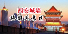 美女和狗日逼视频下载中国陕西-西安城墙旅游风景区
